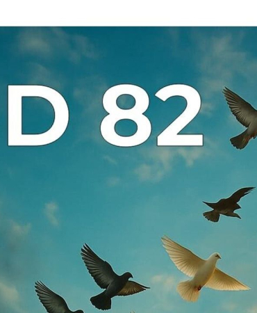 1774265750444girne-dusunce-dernegi-1-2.jpeg