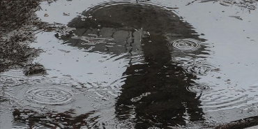 301