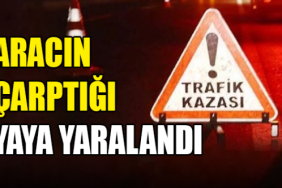 aracin_carptigi_yaya_yaralandi_h90649_9708d.jpg