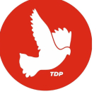 tdp-5.jpg