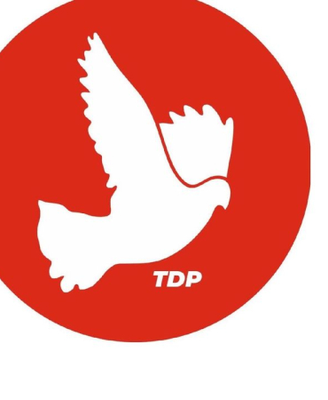 tdp-5.jpg