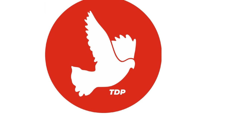 tdp-5.jpg