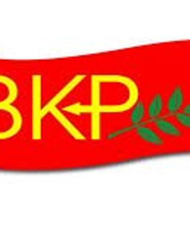 1777535374437bkp25.jpg