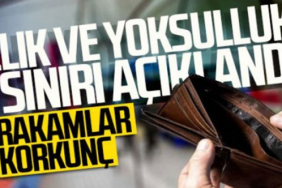 aclik_siniri_39_bin_813_tl_yoksulluk_siniri_214_bin_742_tl_h90991_76592.jpg