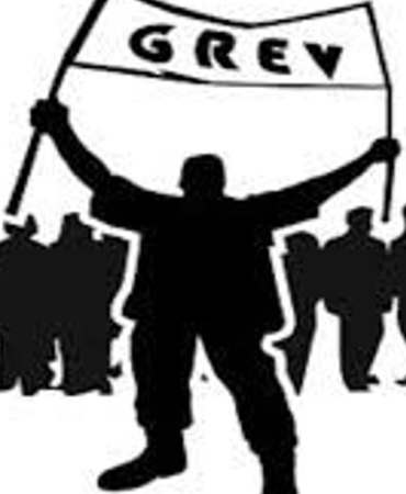 grev-13.jpg