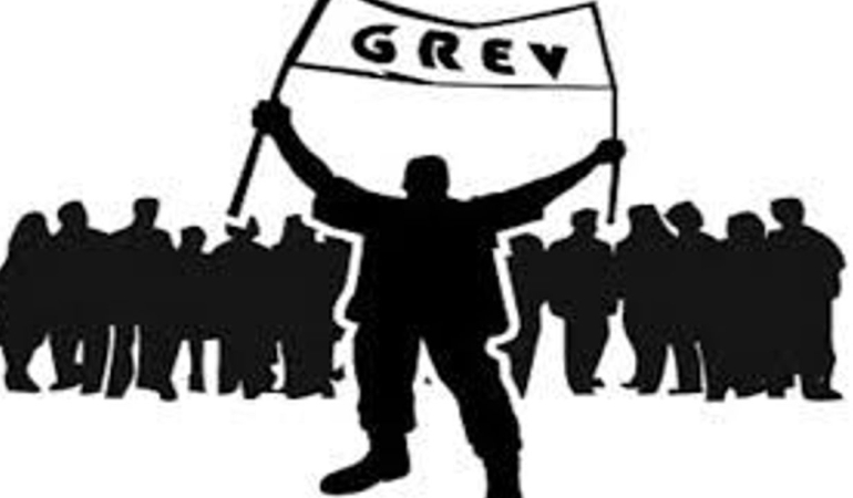grev-13.jpg