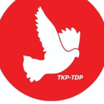 1779365558880-t-d-p-1.jpg