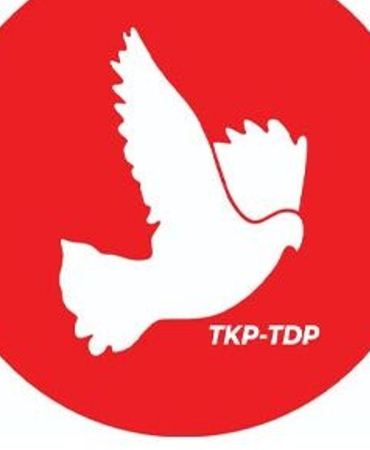 1779365558880-t-d-p-1.jpg