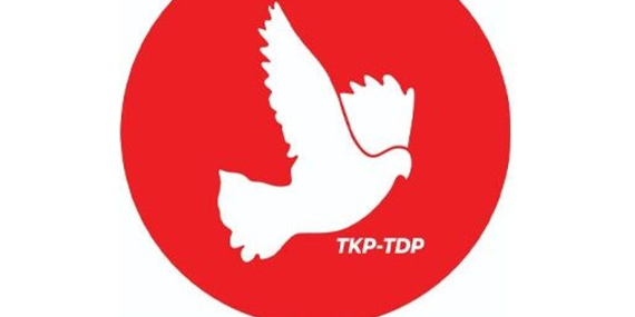 1779365558880-t-d-p-1.jpg