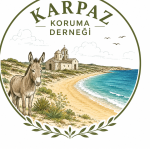 dip-karpaz-koruma-dernegi-3.png