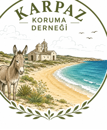 dip-karpaz-koruma-dernegi-3.png