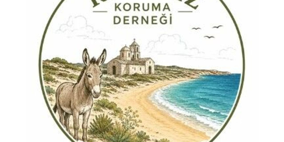 karpaz-1.jpg