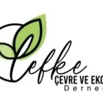 lefke-36.webp.webp