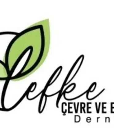 lefke-36.webp.webp