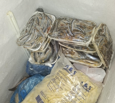 sagliksiz_sekilde_satilan_16_kilo_balik_imha_edildi_h91202_b76b8.jpg