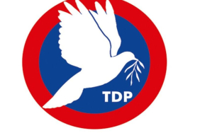 tdp.jpg