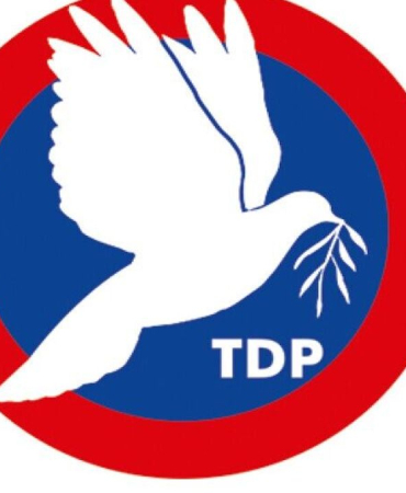 tdp.jpg