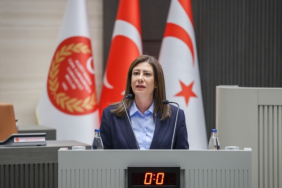 6_ay_sonra_degil_60_gun_sonra_secim_yapalim_h91476_d9167.jpeg