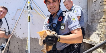 kedi-9.jpg