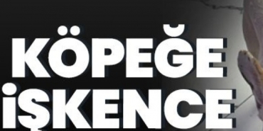 kopegine_iskence_etti_h91566_49772.jpg