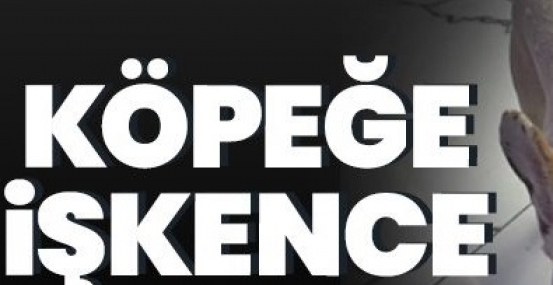 kopegine_iskence_etti_h91566_49772.jpg