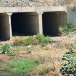 pislik-2.jpg