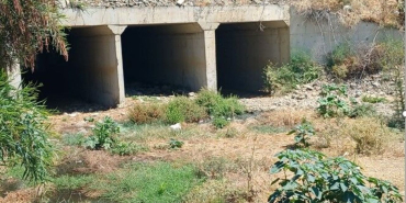 pislik-2.jpg