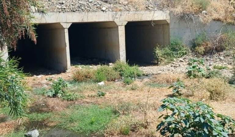 pislik-2.jpg