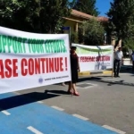 pankart-1.jpeg