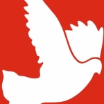 17853256897421778572613872tdp-logo.jpg