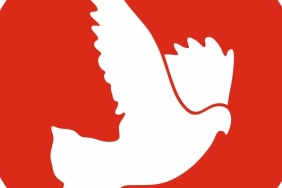 17853256897421778572613872tdp-logo.jpg