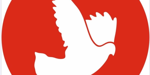 17853256897421778572613872tdp-logo.jpg