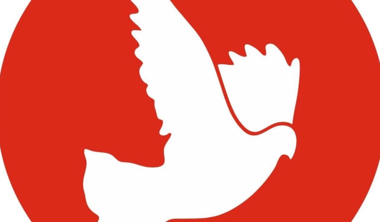 17853256897421778572613872tdp-logo.jpg