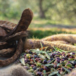 1786537205265harnup-zeytin.png