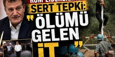 arikli_olumu_gelen_it_cami_avlusuna_isermis_h91756_476a4.jpg