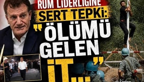 arikli_olumu_gelen_it_cami_avlusuna_isermis_h91756_476a4.jpg