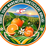 kibris-turk-narenciye-ureticileri-birligi-1.png