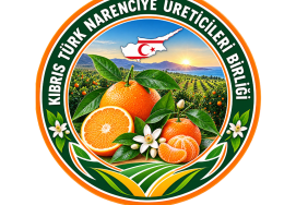 kibris-turk-narenciye-ureticileri-birligi-1.png