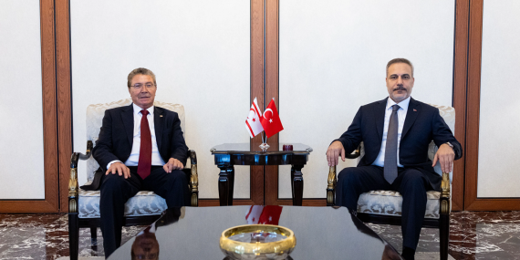 ustel-fidan.png