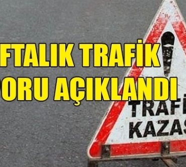 bir_haftada_51_kaza_h91870_a5ee3.jpg