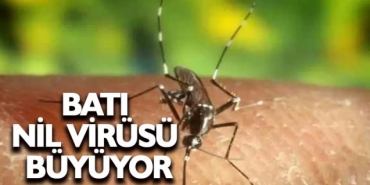 guney_de_bati_nil_virusunden_ilk_olum_h91856_2878b.jpg