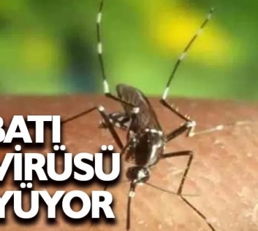 guney_de_bati_nil_virusunden_ilk_olum_h91856_2878b.jpg
