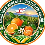 kibris-turk-narenciye-ureticileri-birligi-1.png